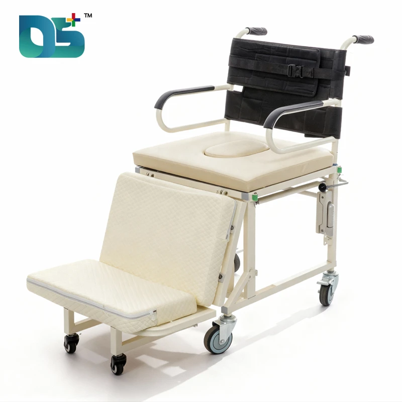 Multi-Function Home Care Bed with Detachable Wheelchair (C09)